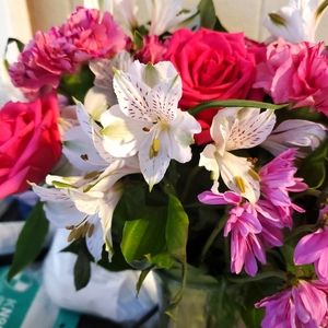 Meet your Posher, Crystal